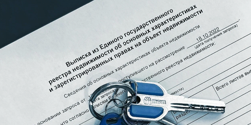 Выписка ЕГРН - что это.png